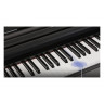 Цифровое пианино The ONE PLAY (Black)