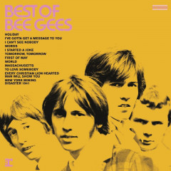 Vinyl Record Bee Gees - Best of [LP]