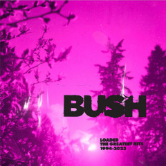 Виниловая пластинка Bush - Loaded: The Greatest Hits 1994–2023 [2LP]
