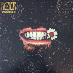 Виниловая пластинка Hozier - Unreal Unearth [2LP]
