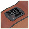 Classical Guitar with Pickup Yamaha CGX122MCC