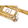 Труба Yamaha YTR-4435GII