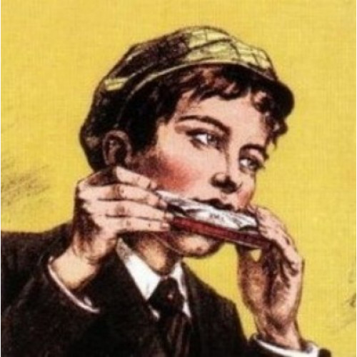 How to use and store the harmonica