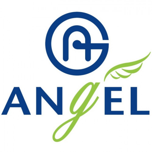 Angel – новый бренд в каталоге