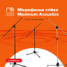 Maximum Acoustics microphone stand - stands as if dug