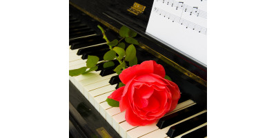 Congratulations on International Pianist Day!