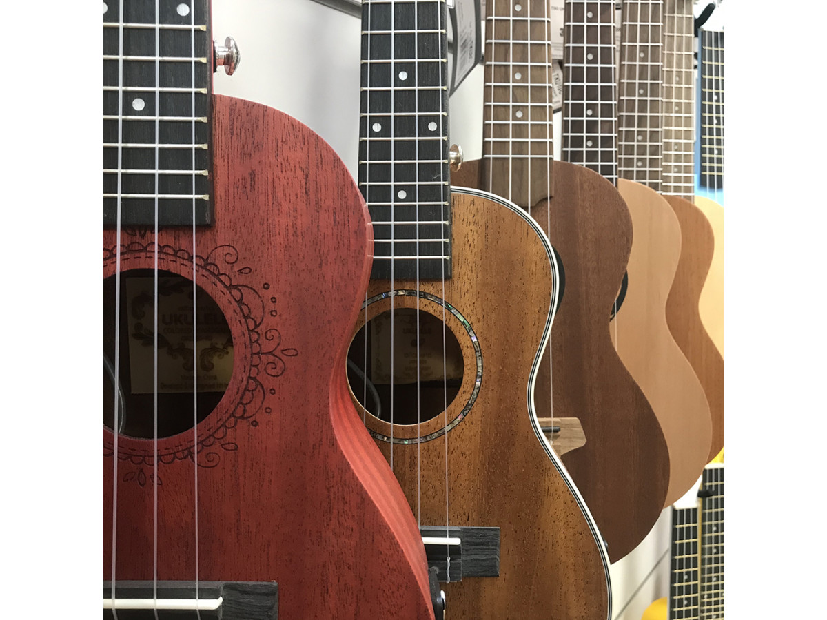 What do you need to know about the ukulele?