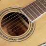 Блюз-гитара RV-70-NT от Richwood