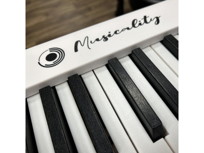 Найбюджетніші музичні інструменти — нове надходження від Musicality