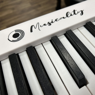 Самые бюджетные музыкальные инструменты – новое поступление от Musicality