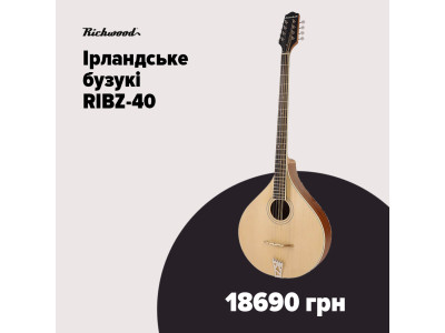 Ирландское бузуки RIBZ-40 от Richwood