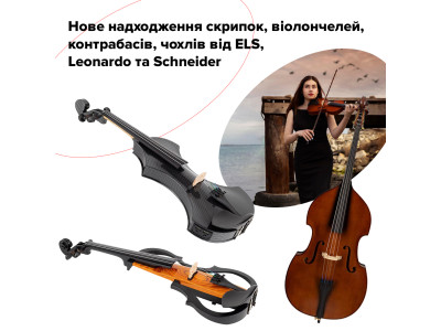 Новое поступление скрипок, виолончелей, контрабасов, чехлов от ELS, Leonardo и Schneider