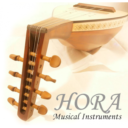 Together with HORA: from beginner to virtuoso