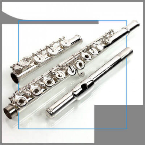 Какие бывают флейты? Как выбрать одну-единственную?