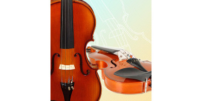 Top 5 stringed instruments