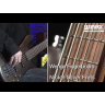 Бас-гітара Warwick Teambuilt Pro Series Streamer LX, 6-String (Natural Transparent Satin)