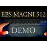 Комбопідсилювач басовий EBS Magni 502