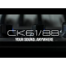 Digital Piano Yamaha CK61