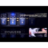 Bass Guitar Effects Pedal EBS DynaVerb (discounted)