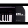 Цифровое пианино Yamaha P-S500 (Black)