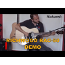 Combo Amplifier for Acoustic Richwood RAC-50