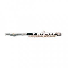 Flute piccolo Maxtone TPC60S