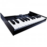 Портативная клавиатура Roland K-25m