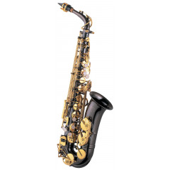 Saxophone Alto J.Michael AL800BL