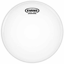 Пластик EVANS B10G1
