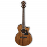 Acoustic-Electro Guitar Ibanez AE245 NT