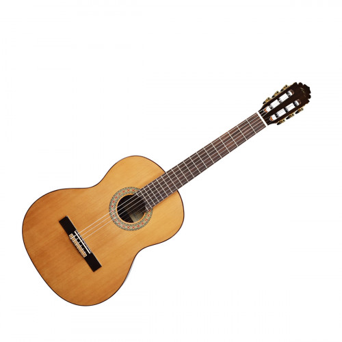 Classical guitar Manuel Rodriguez A (No article) for 18 532 ₴ buy in the  online store Musician.ua