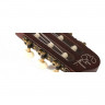 Classical guitar with pickup Godin 035045 - Multiac Nylon Encore SG With Bag