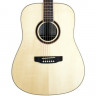 Acoustic Guitar SX DG50+