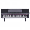 Цифрове піаніно Orla CDP101 Чорний