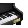 Цифровое фортепиано Casio GP-310BKC7