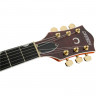 Полуакустическая гитара Gretsch G6620TFM Players Edition Nashville® Center Block (Orange Stain)