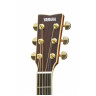 Electric Acoustic Guitar Yamaha LL16 ARE (Natural)