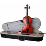 Violin ﻿Parksons CV101 4/4