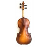 Violin Maxtone TV4/4-P (4/4)