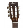 Acoustic Guitar Cort AP550 VB