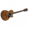 Acoustic-Electro Guitar Ibanez AE245 NT