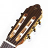 Электроакустическая гитара с нейлоновыми струнами Valencia CG200CE+