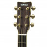 Електроакустична гітара Yamaha LJ16 ARE