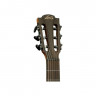 Acoustical guitar with nylon strings Lag Tramontane TN300A