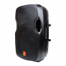 Active PA Speaker Maximum Acoustics ACTIVE.15MH