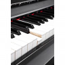 Цифровое пианино Kurzweil CUP2A BP