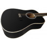 Acoustic Guitar Parksons JB4111 (Black)