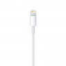 Cable Apple USB/Lightning (1 m)