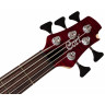 Bass Guitar Cort A5 Plus FMMH (Open Pore Black Cherry)
