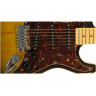 Гітара G&L S500 Semi-Hollow (2-Tone Sunburst, 3-ply Tortoise Shell. Maple)